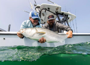 Carter Andrews Raymarine