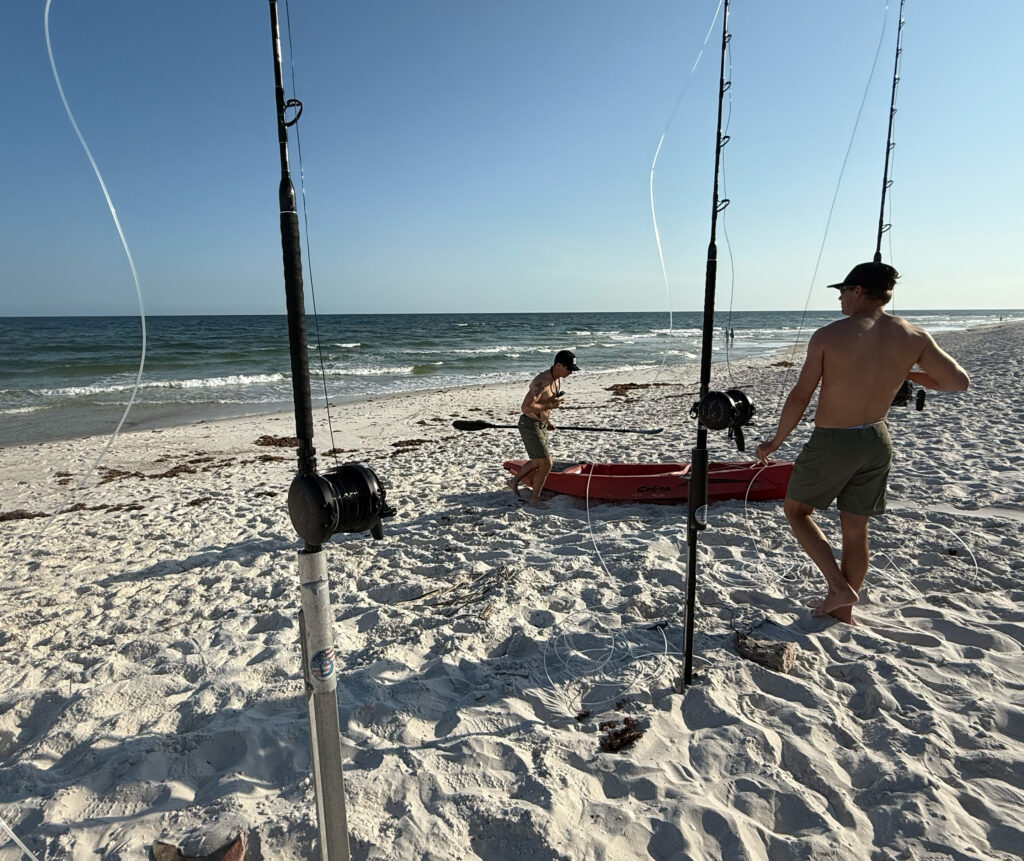 Shark fishing off the beach